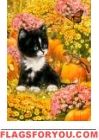 Kitten and Pumpkins Garden Flag