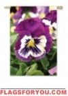 Pansies House Flag - 1 left