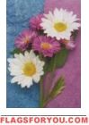 Daisies and Asters Impressions Flag - 1 left