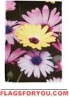 Colorful Daisies House Flag