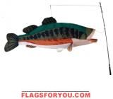 Large Mouth Bass Swimming Fish