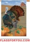 Turkey Run House Flag