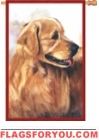 Golden Retriever House Flag - 4 left