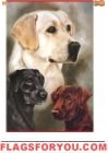Labradors House Flag - 3 left