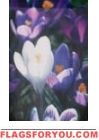 Crocus Blooms House Flag