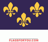 Fleur De Lis Flag