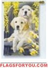 Golden Retriever Pups House Flag