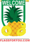 Pineapple Welcome House Flag