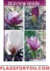 Blooming Beauty Garden Flag