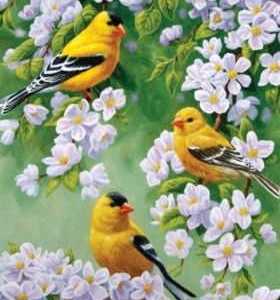 Goldfinch Flags