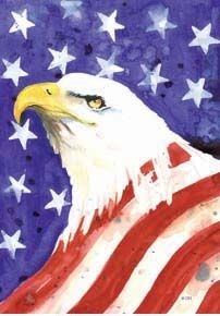 Eagle / Flag House Flag