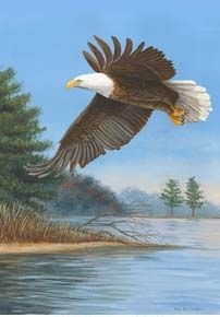 SOARING EAGLE Garden Flag