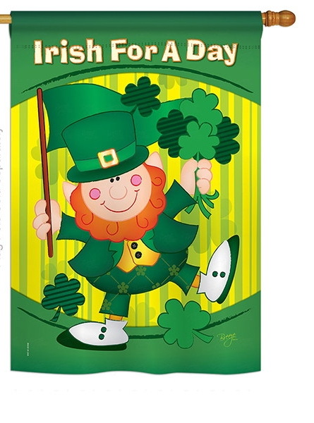Irish For A Day House Flag