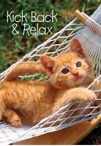 Kick Back Kitty Garden Flag