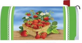 Strawberry BA Mailbox Cover