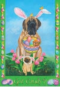 Got Candy Easter House Flag