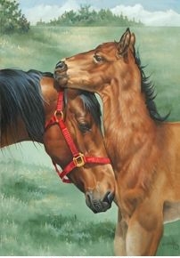 Colt's Nuzzle Garden Flag