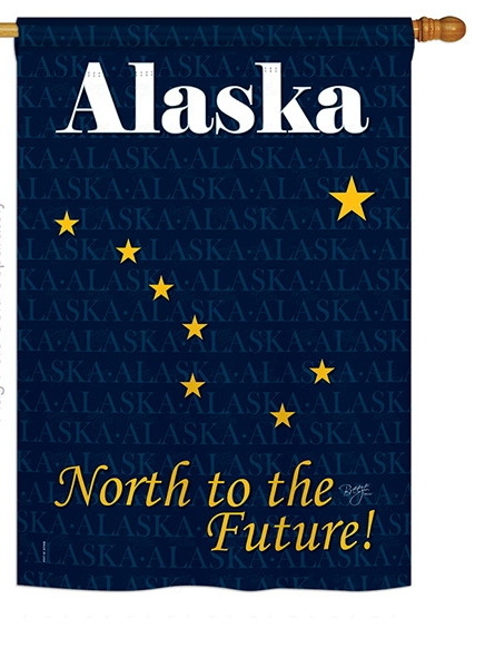 Alaska State House Flag