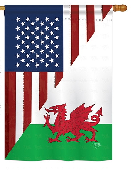 US Wales Frienship House Flag