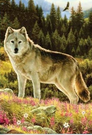 Summer Wolf House Flag