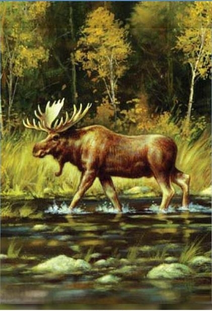 Wading Moose House Flag