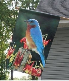 Bluebird Perched House Flag