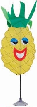 Pineapple Zany Pal