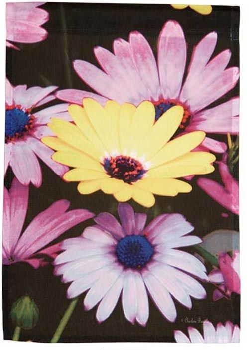 Colorful Daisies House Flag