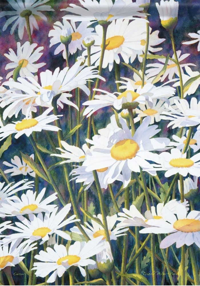 Daisies Garden Flag
