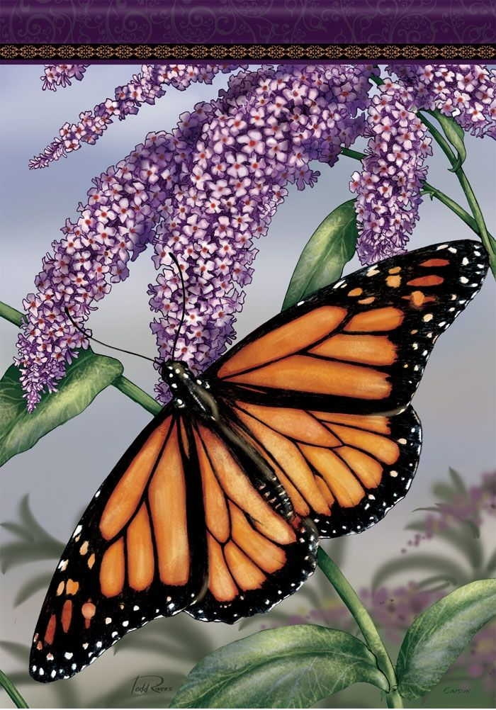 Monarch Garden Flag