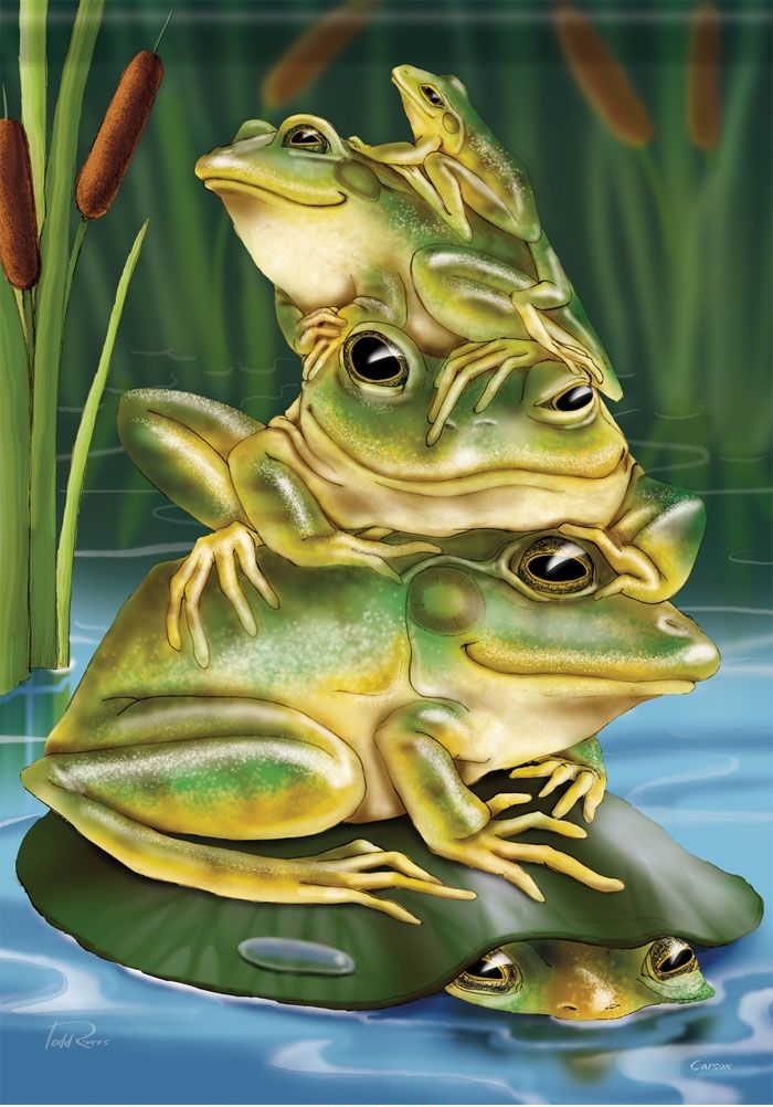 Frog Stack House Flag
