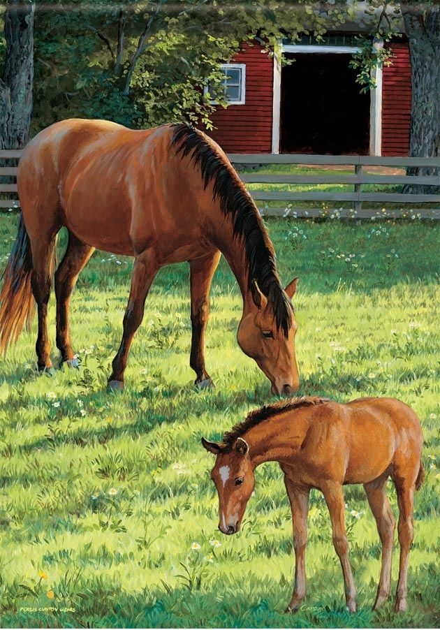 Mare & Foal Garden Flag