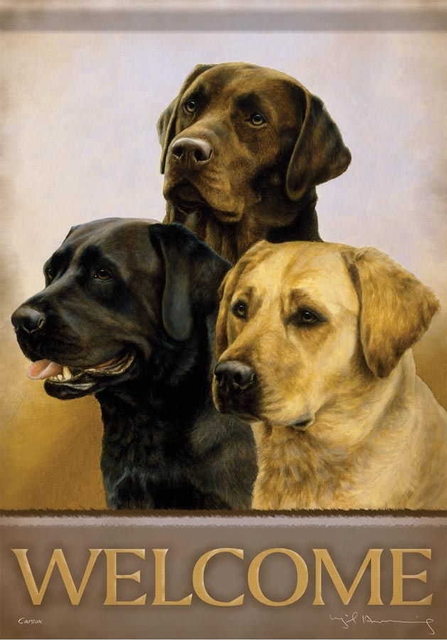 Lab Trio Garden Flag