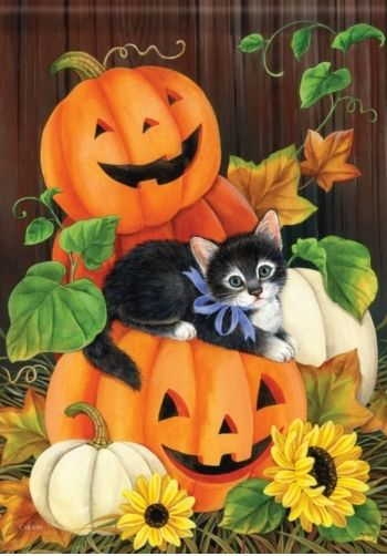 Happy Halloween Kitty House Flag