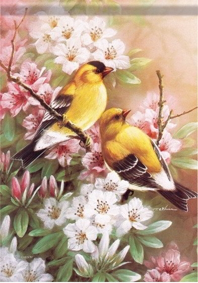Yellow Finches Dura Soft House Flag