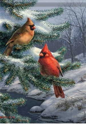 Snow Pine Cardinals House Flag
