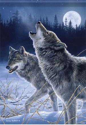 Wolves Garden Flag