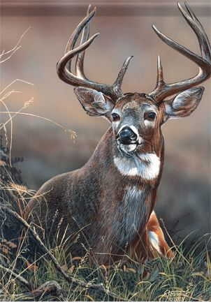 Whitetail Garden Flag