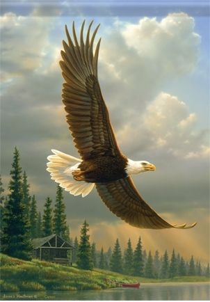 Eagle Garden Flag