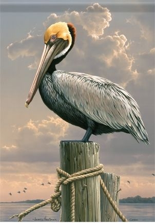 Pelican Garden Flag