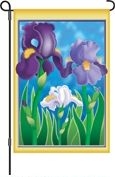 1 left - Enchanting Irises Garden Flag