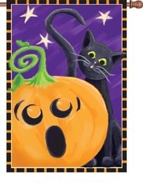 Halloween Surprise House Flag