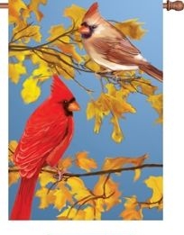 Autumn Melody House Flag