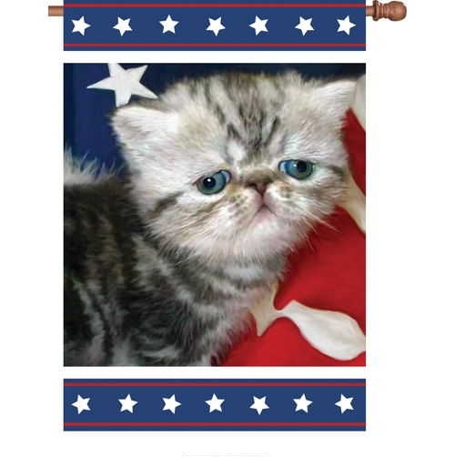 Patriotic Kitty Garden Flag