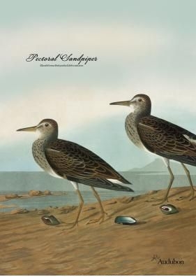 Sandpiper Garden Flag - 1 left