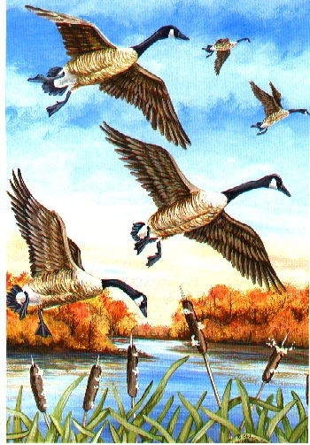 Canada Geese House Flag
