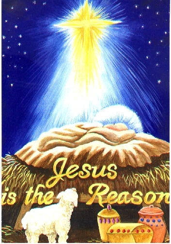 Jesus Is The Reason Garden Flag