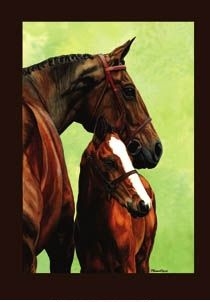 Horse House Flag
