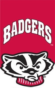 Applique -  University of Wisconsin House Flag