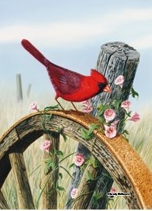 Cardinal / Wheel Mailbox Cover